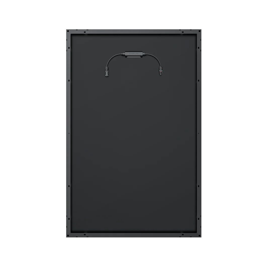 EcoFlow 175W solpanel