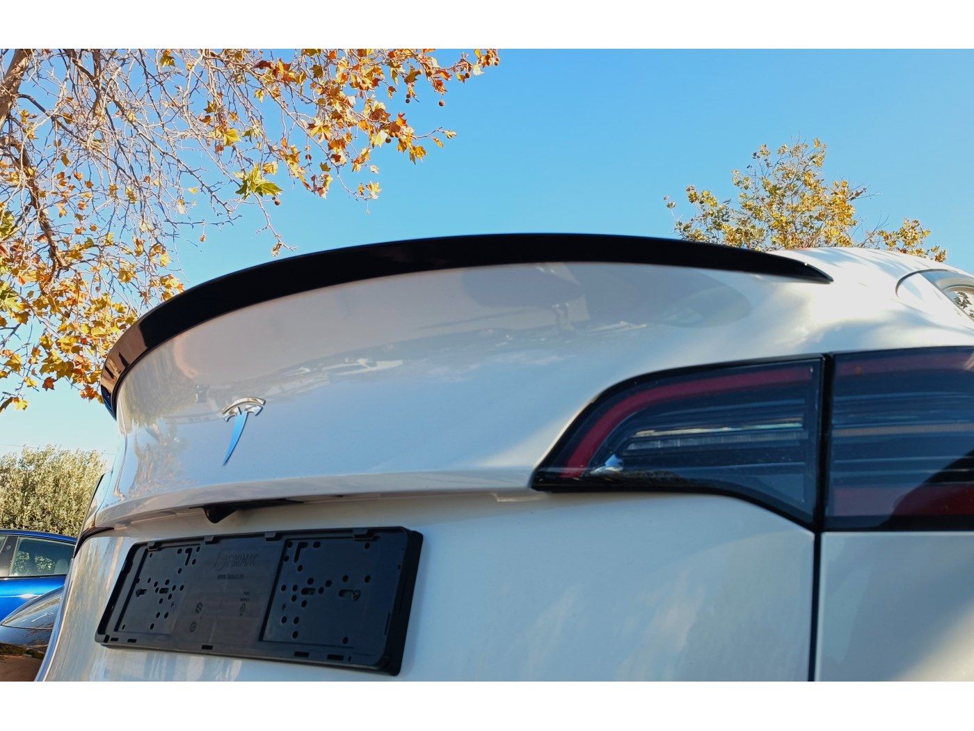 Vinge Tesla Model Y