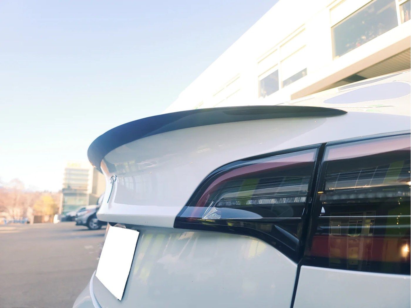 Vinge Tesla Model Y