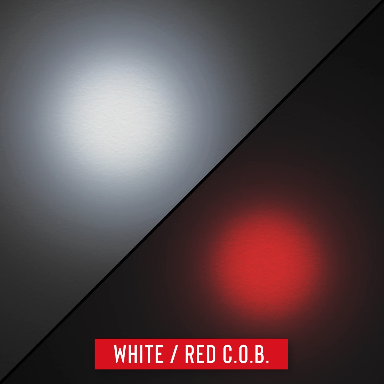 COAST G23 Inspektionslampa / Arbetslampa med magnet (120 lumen)