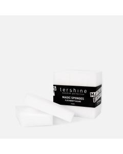 tershine Fläckborttagningssvamp 5-pack
