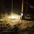 Campinglykta Fenix CL30R - Ficklampor - 5010403600 - 10