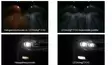 LED-konverteringssats H8/H11/H16 - LED konverteringskit - 8020101292 - 3