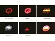 Optibeam Dark Phantom Ø155 mm bakljus, 5 m kabel, ADR - Led-bakljus - 8020120967 - 7