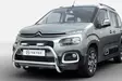 Frontbåge, Citroën Berlingo 18 -, ECE-godkänd - Frontbåge till transportbil - 8020102087 - 1