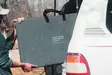 EcoFlow 220W Portable Solar Panel - Powerstation tillbehör - 8020107318 - 5