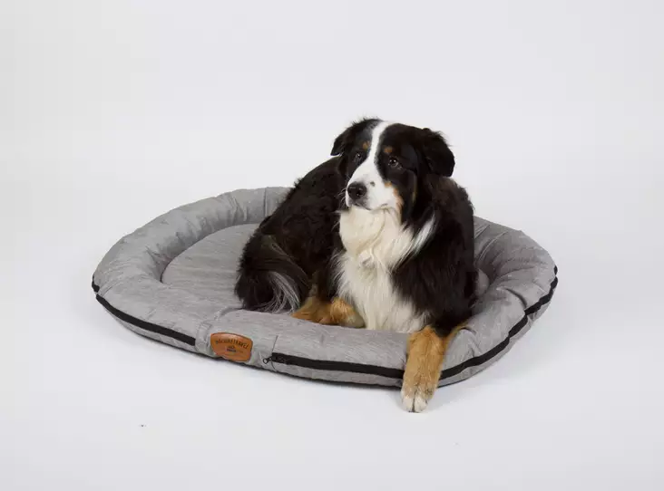 Semesterresesäng för hund - Husdjur - 8020112368 - 1